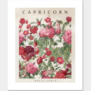 CAPRICORN Posters and Art
